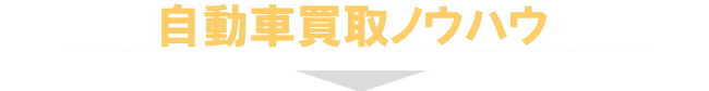 車種別ランキングはこちら